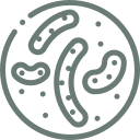 parasite